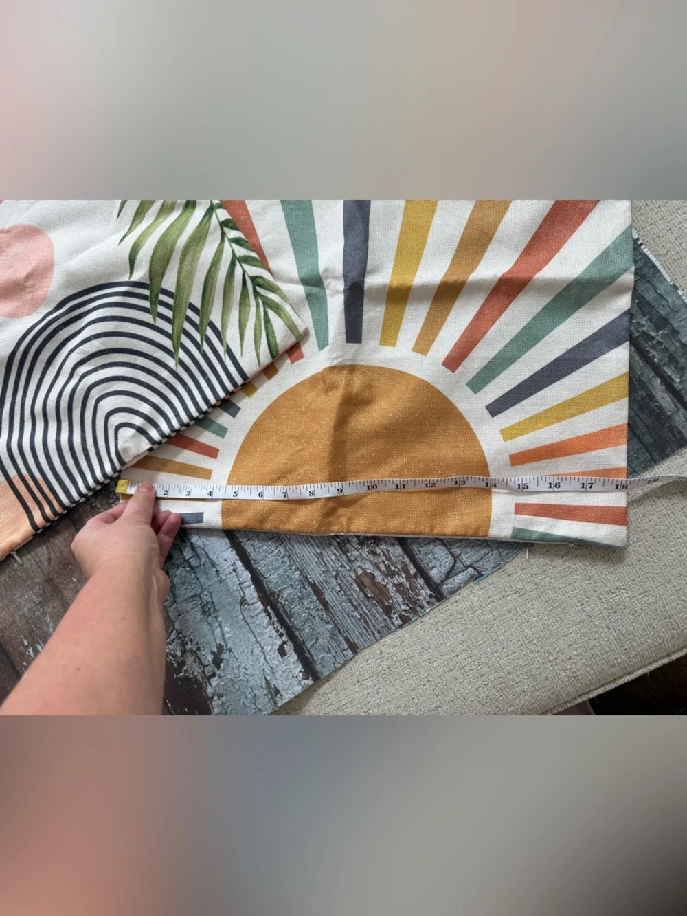 Two decorative pillow cases